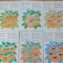 서예교실_주간 이미지