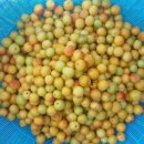 김명복농장 이미지