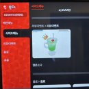 브라더스 | [광화문맛집]일본 감성 가득한 ‘도토리 브라더스’ 내돈내산 후기