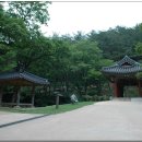 순천-65호 이미지