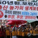 모란가축시장 이미지