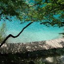 공원민박 이미지