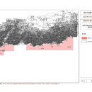 제주연안 연산호 군락지 이미지