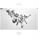캘리그라피 Daum카페