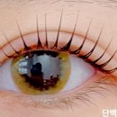 다온피부&속눈썹 네이버블로그
