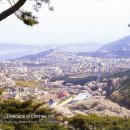 명곡동365 이미지