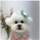 뷰티몽 이미지