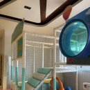 미즈베베 키즈풀빌라 | 가평 미즈베베키즈풀빌라 키즈펜션 미즈2 가평키즈풀빌라