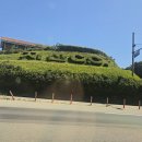 지산골프장 | 노캐디골프장 지산 퍼블릭cc 후기_골린이 시점