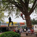 중모초교 이미지