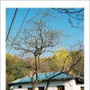 골우물길 이미지