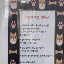 해피댕댕 | 대전 근교 세종 애견동반펜션 에브리댕댕스테이 바베큐 후기