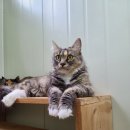 양지말길 이미지