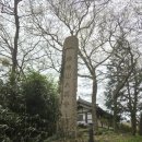 법수-8 | [사찰탐방]두륜산대흥사