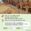 옥천한우농장 이미지