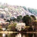 드림하우스 이미지