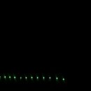 유동장어 이미지