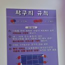 핑퐁365무인탁구카페
