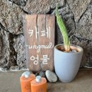 플레이스 엉물 2박3일 제주 동쪽 여행 구좌 당근 브런치 맛집 <b>플레이스</b><b>엉물</b>