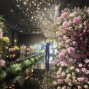 소유호텔 | ST브라이드 본식스냅 솔직후기 - (소유웨딩 &amp; 홀리데이인호텔광주)