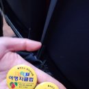 속리산 법주사 | 대구 여행자 클럽 청남대/속리산 법주사 솔직후기