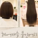진헤어캐슬
