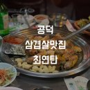최연탄