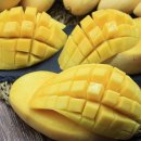 망고 - 광양시 중마용소3길 38 | 망고