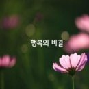 8가지만 버리면 인생은 축복 이미지