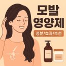 신흥약국 | 모발 영양제 추천 효과 성분 샴푸 약국 비오틴 케라넷 옥주현 모발영양제
