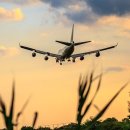 장인 행정사사무소 이미지