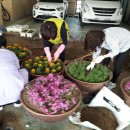 충주카리타스노인요양원 이미지