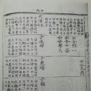 족보 Daum카페