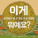 2019-주099 이미지