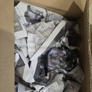 청수다슬기 | 청수 생클로렐라 400ml 5개 물벼룩부터 식물까지 다용도 액체비료의 모든 것