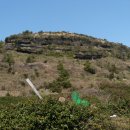 알미목장 이미지