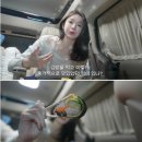 연예인김밥 | 맛집] 코끼리김밥 / 강민경, 박진영X노정의 연예인 맛집 / 내돈내산 픽업 후기 / 김밥메뉴추천 / 떡볶이...