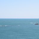 라인행정사 이미지