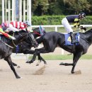 미해축산 이미지