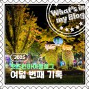 인.터건축사사무소 | 2025 블로그 챌린지, 왓츠인마이블로그 여덟 번째 기록🎈