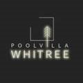 화이트리WHITREE