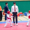 대한체육관 2도장(태권도) | 광양태권도·중마동태권도·마동태권도 | 광양 실내체육관 국기원 승품단 심사, 왜 중요한지 알려드립니다