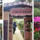 포천 허브아일랜드 관광안내소 이미지