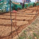 영채농장 이미지