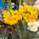 (주)루트엔스튜디오 | [WD-169] 웨딩촬영 준비! 5. 부케만 6개?! 웨딩 촬영용 가성비 생화 + 조화 부케 후기!