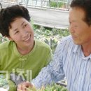 유일농장2 이미지