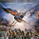 레드 테일스 (2012) Red Tails 액션, 어드벤처 | 미국 | 125 분 | 이미지