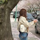 그린도그 | BOTTEGA VENETA :: 보테가베네타 파라슈트 스몰 vs 미듐 사이즈 비교 착샷, 도그참 구매후기