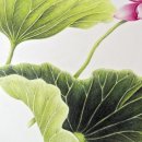 보태니컬아트(색연필화) 이미지