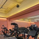 브로피트니스 이미지